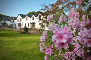 Featured image for 3-day juice cleanse and yoga retreat in Ireland with beautiful pink and white flowers blooming in front of newly designed retreat resort