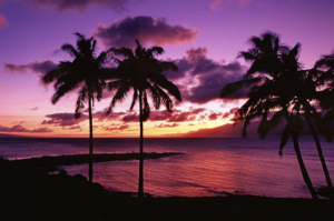 Featured image of top 30 yoga retreats for November 2017 with purple, orange, yellow and grey sunset over the ocean and palm trees at 3-Day Sound Healing, Yoga and Restore Retreat in Hawaii, USA