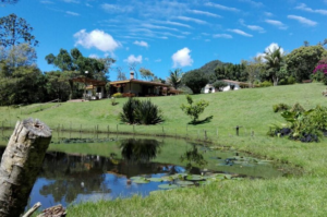 Featured image for 7-day Ayurveda healing yoga retreat in Antioquia, Colombia with lovely view of location dispalying fresh pond, green landscape and bright blue sky at the retreat resort location