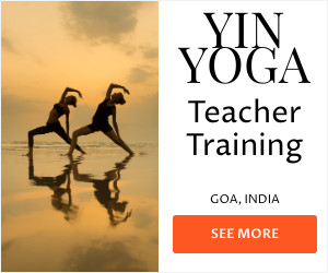 Banner image with white backgroun and yin yoga teacher training sunset pic at beach in Goa, India and orange see more button